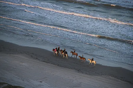 "You're in three dimensional space": "Aerial America" got the swoop on Padre Island during the series' visit to Texas. 