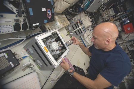 Astronaut Luca Parmitano uses a sample-spinning centrifuge on the I.S.S. to expose the bacteria to the equivalent of Mars' gravity.