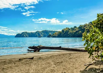 Costa Rica by Sea: Wildlife and Rainforests of the Pacific Coast description
