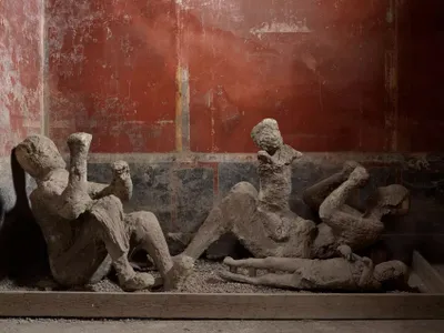 DNA Evidence Is Rewriting the Stories of Victims Who Perished in Pompeii Nearly 2,000 Years Ago image