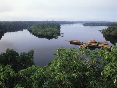 The Brazilian rainforest faces threats beyond deforestation.