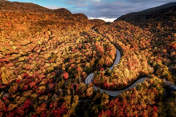 Winding through the Foliage thumbnail