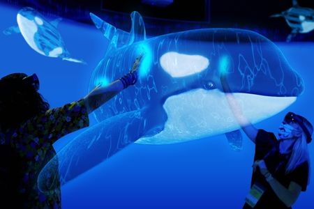 Two people an augmented-reality experience wear headsets while reaching out to "touch" a holographic killer whale.