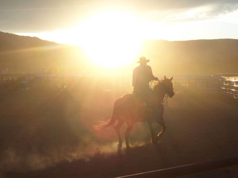 Cowboy's ride into the sunset. | Smithsonian Photo Contest ...