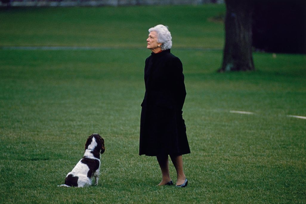 NPG_2011_50 B Bush.crop.jpg