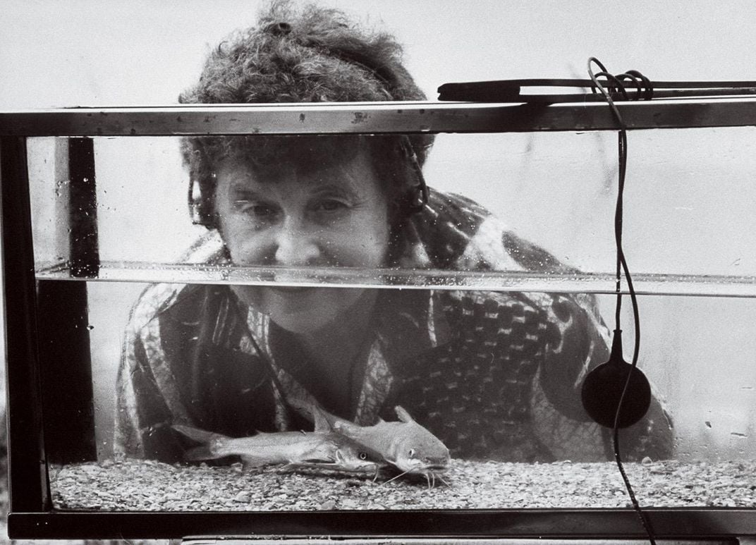 A women looks an electronic listening device to study the noises made by catfish. 