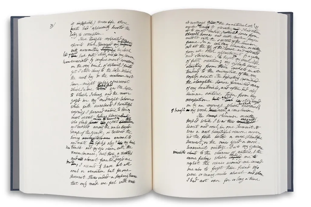 Frankenstein open pages.jpg