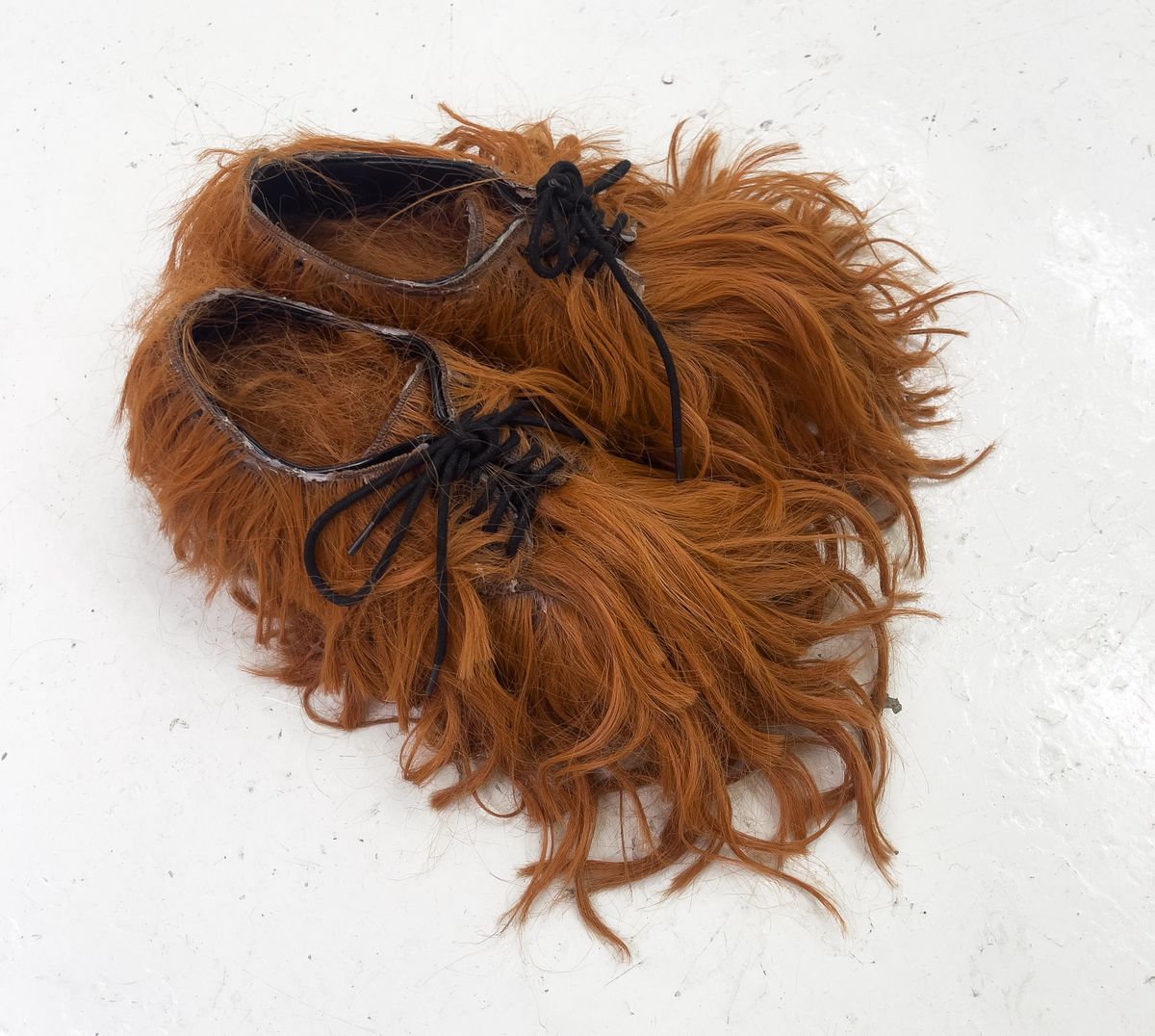 アート・デザイン・音楽 The Dressed Hair cq_wig.jpg