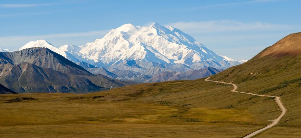  View of Mt. Denali from the park road 
