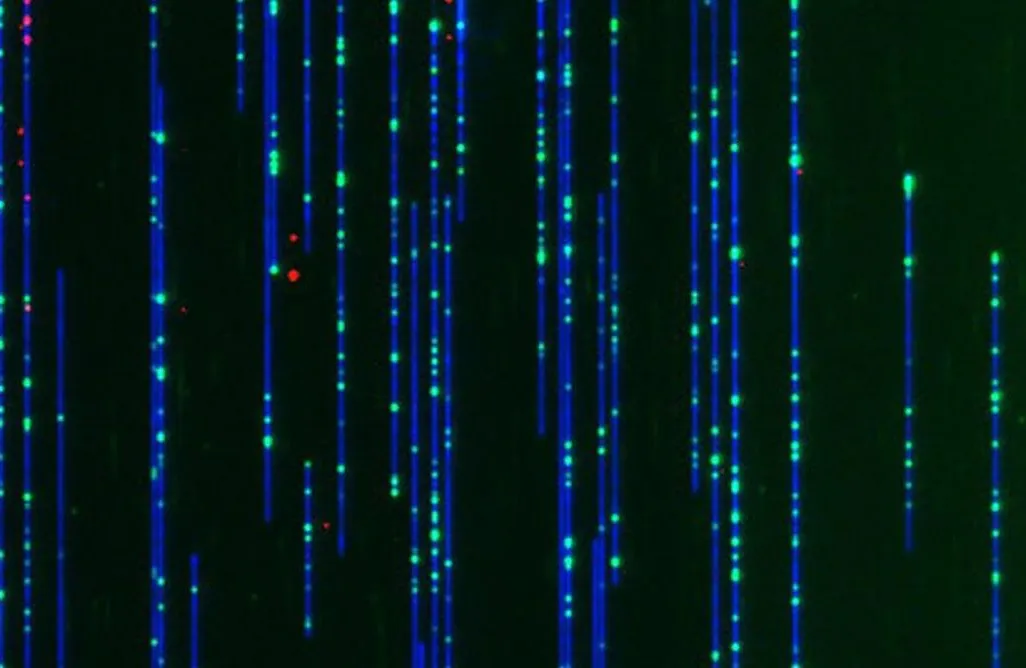 DNA Image