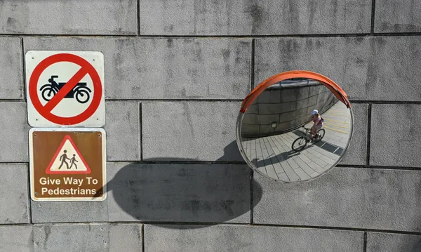 Reflections of Life thumbnail