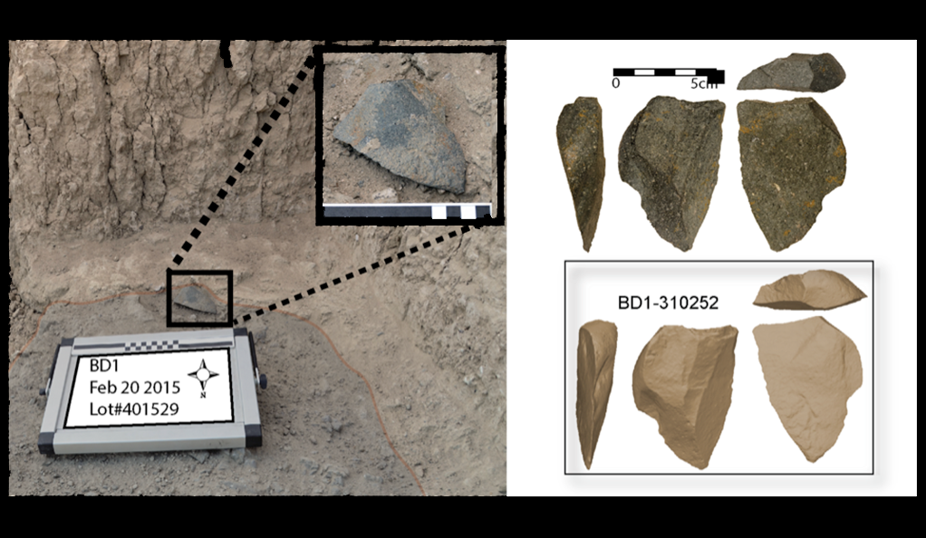 australopithecus afarensis tools