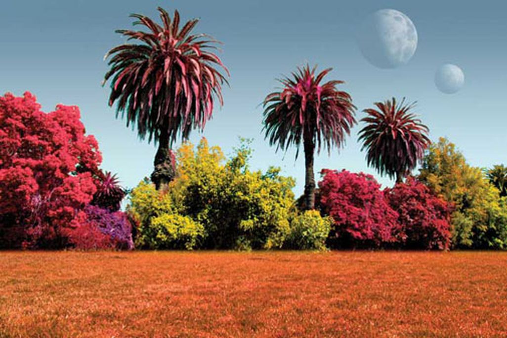 The grass may not always be greener in other solar systems.