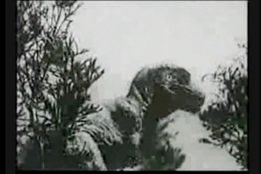 20110818094006slumber-mountain-movie-dinosaur.jpg