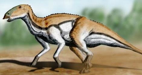 A restoration of the island hadrosauroid Tethyshadros by Nobu Tamura