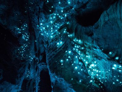 Photographer Joseph Michael explored the 30-million-year old limestone caves of New Zealand's North Island, a favored spot for glowworms, to create these dazzling long-exposure shots.